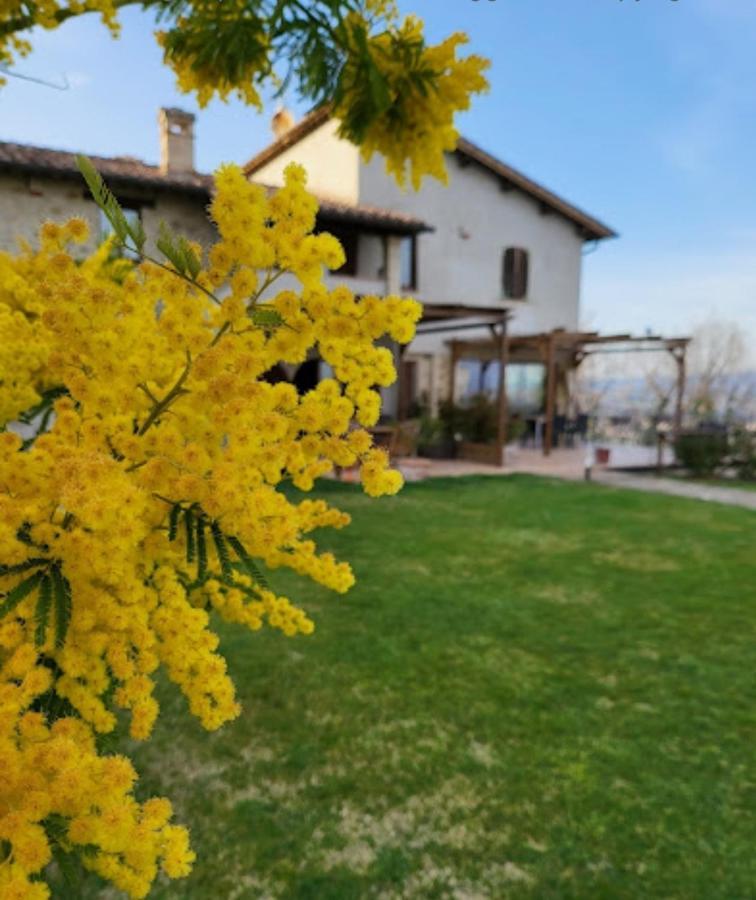 Casale Mille E Una Notte Perugia Exteriér fotografie